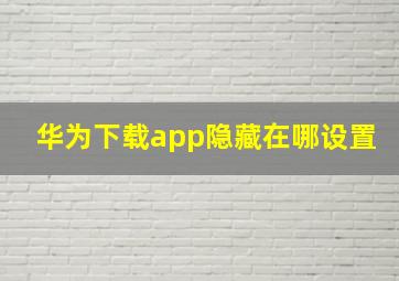 华为下载app隐藏在哪设置