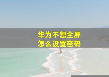 华为不想全屏怎么设置密码