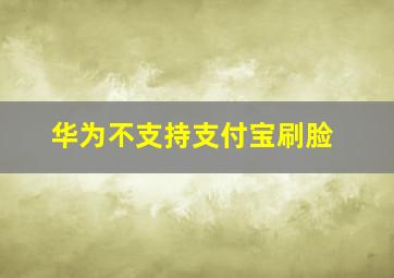 华为不支持支付宝刷脸