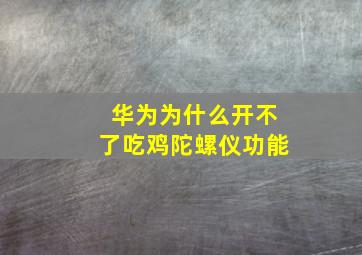 华为为什么开不了吃鸡陀螺仪功能