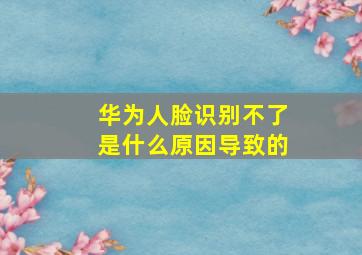 华为人脸识别不了是什么原因导致的