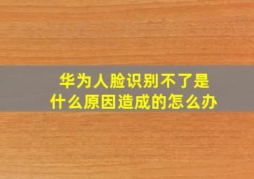 华为人脸识别不了是什么原因造成的怎么办