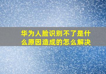 华为人脸识别不了是什么原因造成的怎么解决