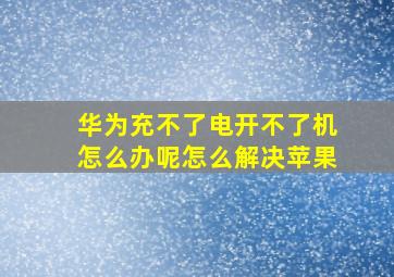 华为充不了电开不了机怎么办呢怎么解决苹果