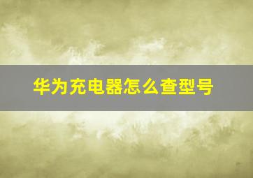 华为充电器怎么查型号