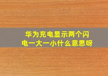 华为充电显示两个闪电一大一小什么意思呀