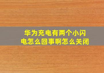 华为充电有两个小闪电怎么回事啊怎么关闭