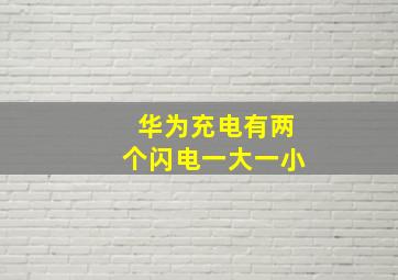 华为充电有两个闪电一大一小