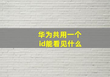 华为共用一个id能看见什么