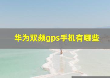 华为双频gps手机有哪些