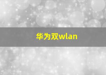 华为双wlan