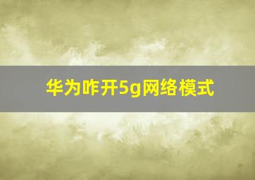 华为咋开5g网络模式