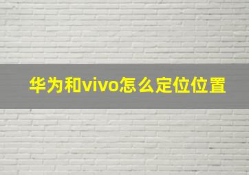 华为和vivo怎么定位位置