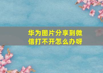 华为图片分享到微信打不开怎么办呀