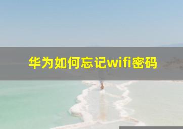 华为如何忘记wifi密码