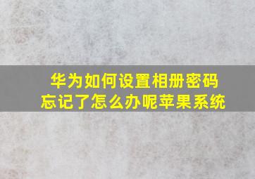 华为如何设置相册密码忘记了怎么办呢苹果系统