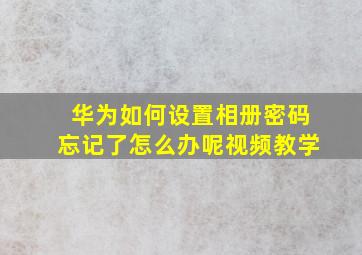 华为如何设置相册密码忘记了怎么办呢视频教学