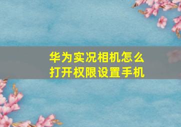 华为实况相机怎么打开权限设置手机