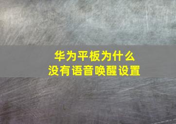 华为平板为什么没有语音唤醒设置