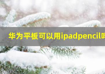 华为平板可以用ipadpencil吗