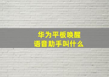 华为平板唤醒语音助手叫什么