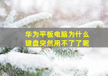 华为平板电脑为什么键盘突然用不了了呢