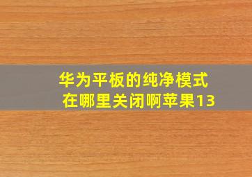 华为平板的纯净模式在哪里关闭啊苹果13