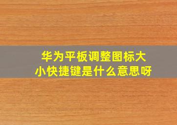 华为平板调整图标大小快捷键是什么意思呀