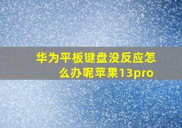 华为平板键盘没反应怎么办呢苹果13pro