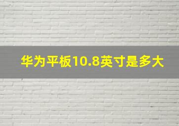 华为平板10.8英寸是多大