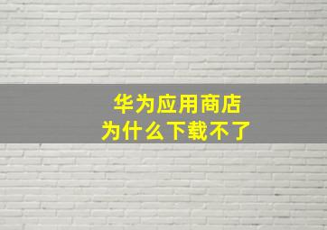 华为应用商店为什么下载不了