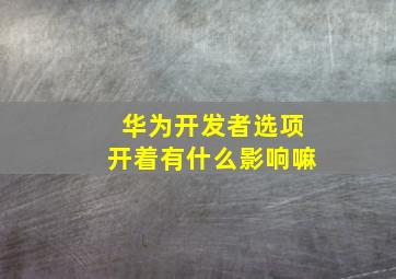 华为开发者选项开着有什么影响嘛