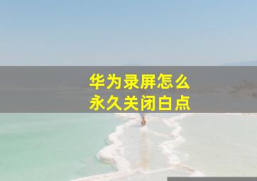 华为录屏怎么永久关闭白点