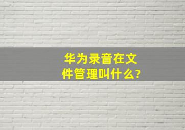 华为录音在文件管理叫什么?