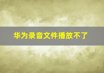 华为录音文件播放不了