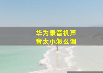 华为录音机声音太小怎么调