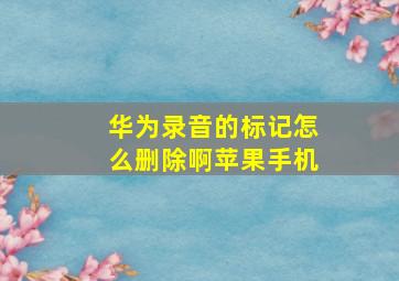 华为录音的标记怎么删除啊苹果手机