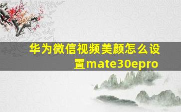 华为微信视频美颜怎么设置mate30epro