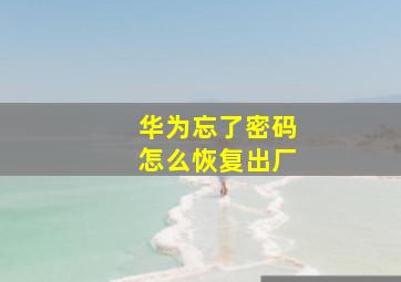 华为忘了密码怎么恢复出厂