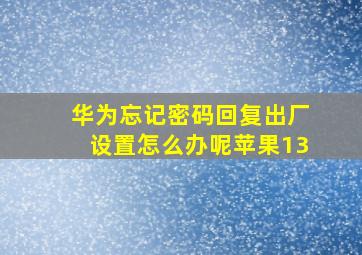 华为忘记密码回复出厂设置怎么办呢苹果13