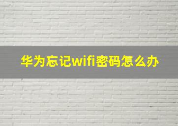 华为忘记wifi密码怎么办