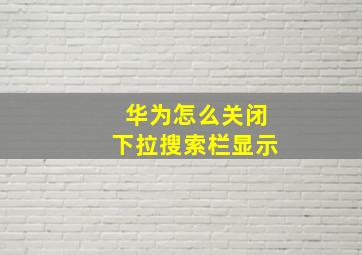 华为怎么关闭下拉搜索栏显示