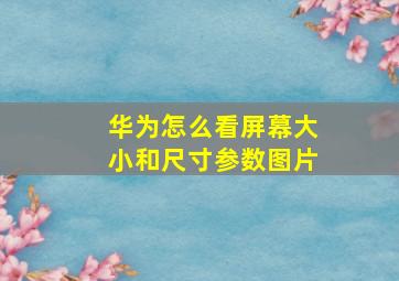 华为怎么看屏幕大小和尺寸参数图片