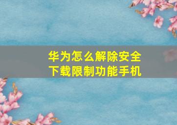 华为怎么解除安全下载限制功能手机