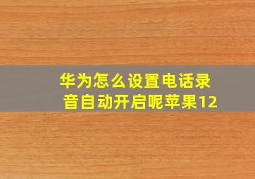 华为怎么设置电话录音自动开启呢苹果12