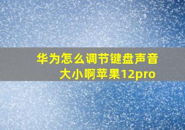 华为怎么调节键盘声音大小啊苹果12pro