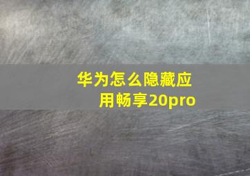 华为怎么隐藏应用畅享20pro