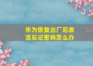 华为恢复出厂后激活忘记密码怎么办