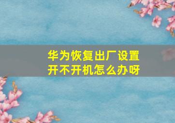 华为恢复出厂设置开不开机怎么办呀