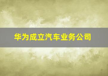 华为成立汽车业务公司